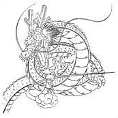 coloriage dragon ball